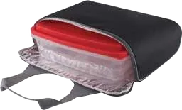 Pictara Insulated Party Bag and Container Set, Insulated party food bag with container and tray