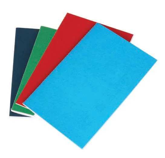 eco-neutral Lineda 80-Page Ruled Notebook, Four notebook colours