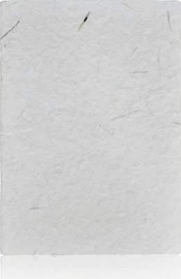 eco-neutral Sevrion B6 Wheatstraw Notebook, B6 softcover seed-paper notebook, front view