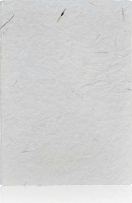 eco-neutral Sevrion B6 Wheatstraw Notebook, B6 softcover seed-paper notebook, front view