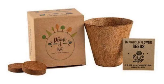 Seedora Marigold Plant Grow Kit, Coir pot, seed packet, two coco discs and box