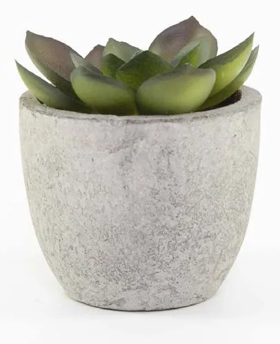 Verdin Artificial Succulent in Pulp Pot, Artificial succulent in a pulp pot